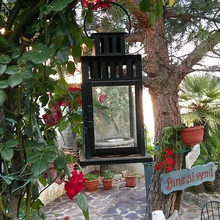 Amarcord
